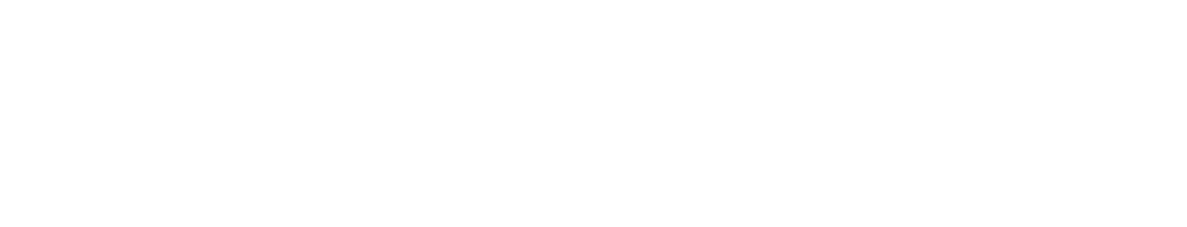 Risk in focus: Risk velocity and the impact on business